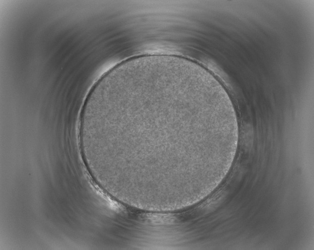 X0000078860856200612041930