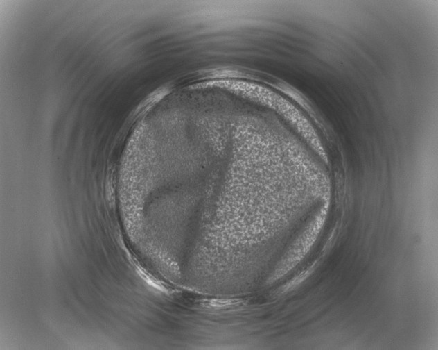 X0000078860857200612041930