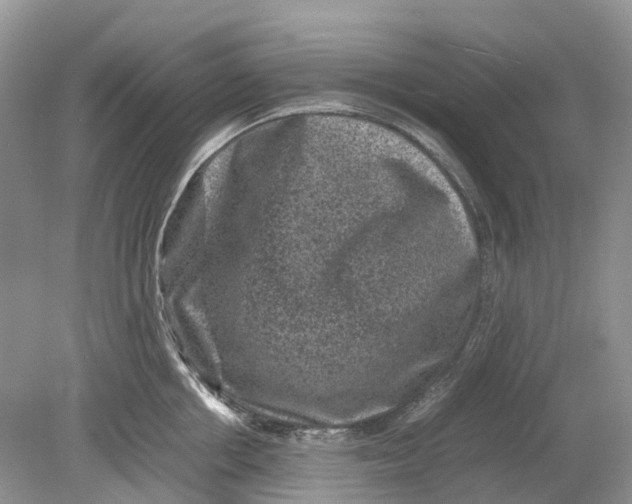 X0000078860858200612041930