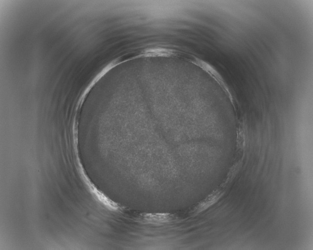 X0000078860859200612041930