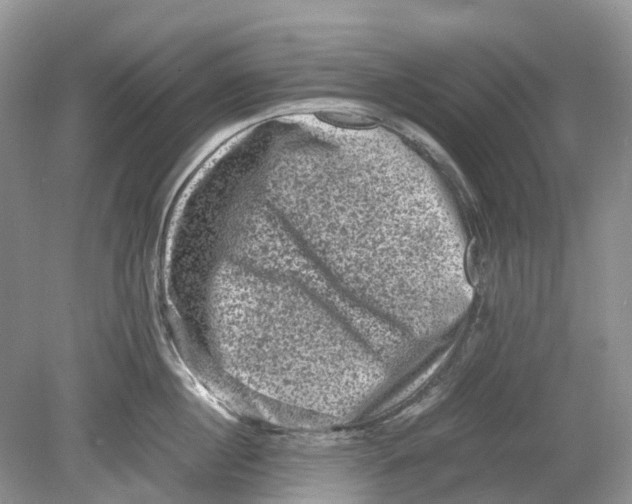 X0000078860860200612041930