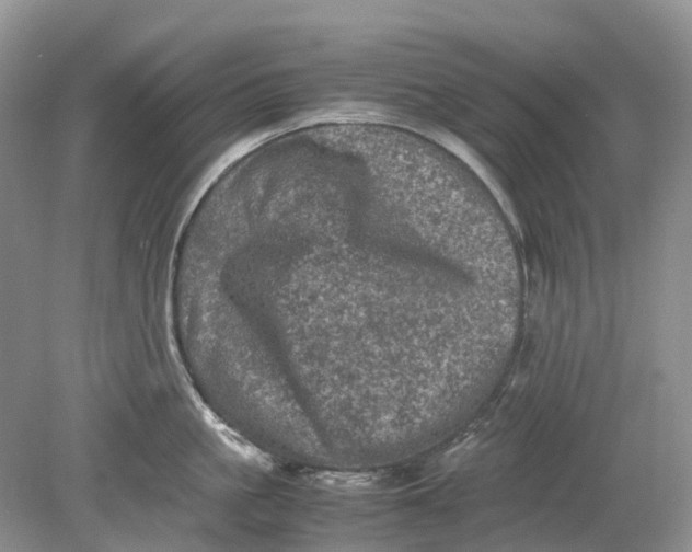 X0000078860861200612041930