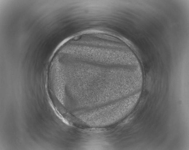 X0000078860862200612041930