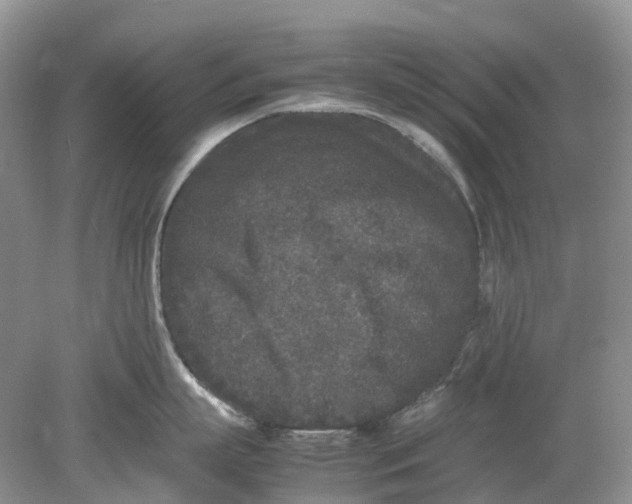 X0000078860863200612041930