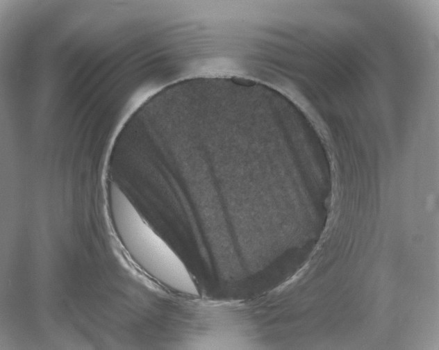 X0000078860864200612041930