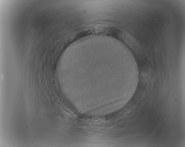 X0000078860865200612041929