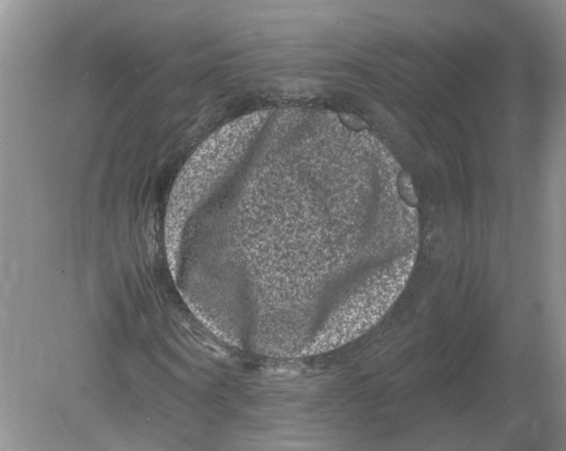 X0000078860866200612041929