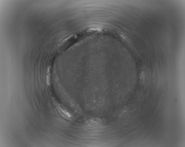 X0000078860868200612041929