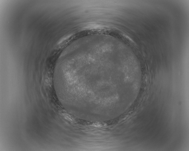 X0000078860869200612041929