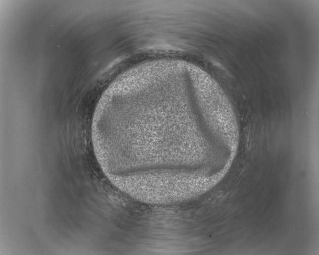 X0000078860870200612041929