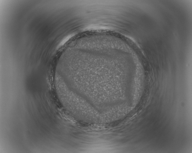 X0000078860871200612041929