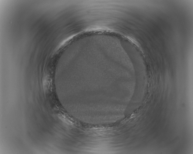 X0000078860872200612041929