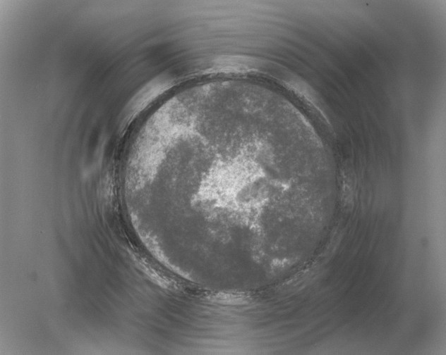 X0000078860874200612041929