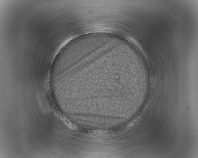 X0000078860875200612041929