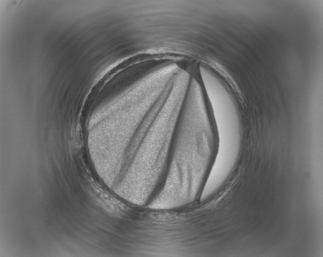 X0000078860876200612041929