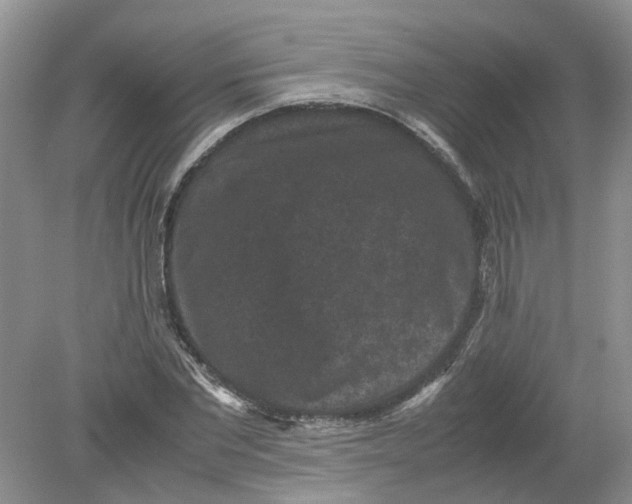 X0000078860877200612041929