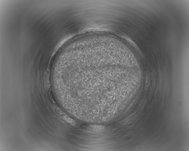 X0000078860878200612041929