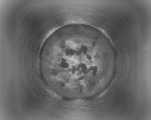 X0000078860879200612041929