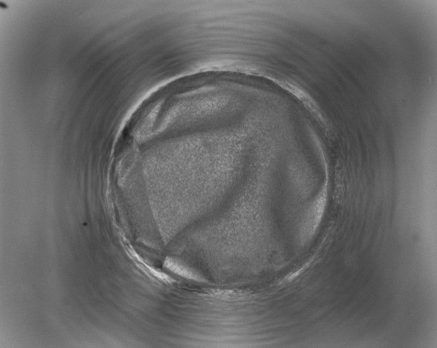 X0000078860880200612041929