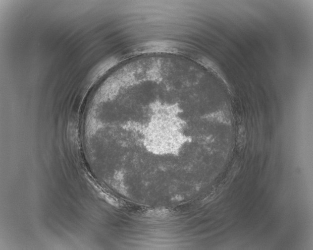 X0000078860882200612041929