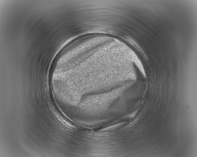 X0000078860884200612041929