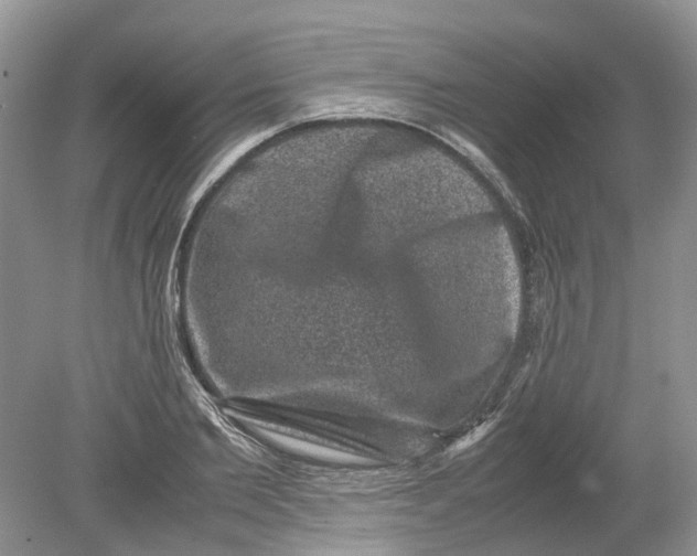 X0000078860885200612041929