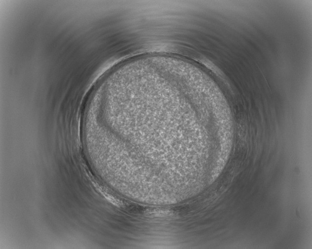 X0000078860886200612041929