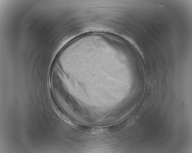 X0000078860887200612041929