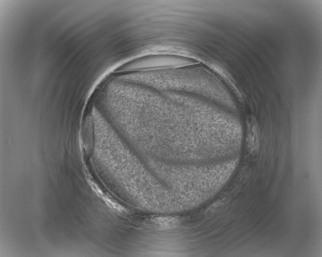 X0000078860888200612041929