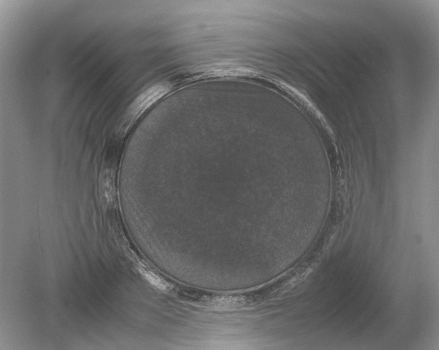 X0000078860889200612041929