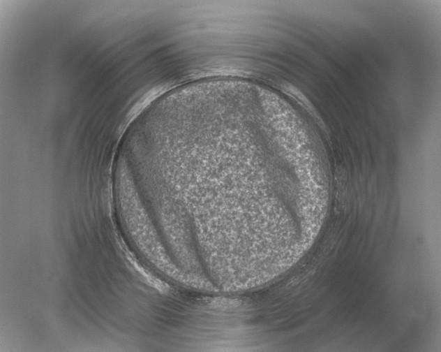 X0000078860890200612041929