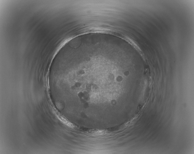 X0000078860891200612041929