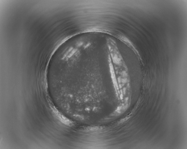 X0000078860892200612041929