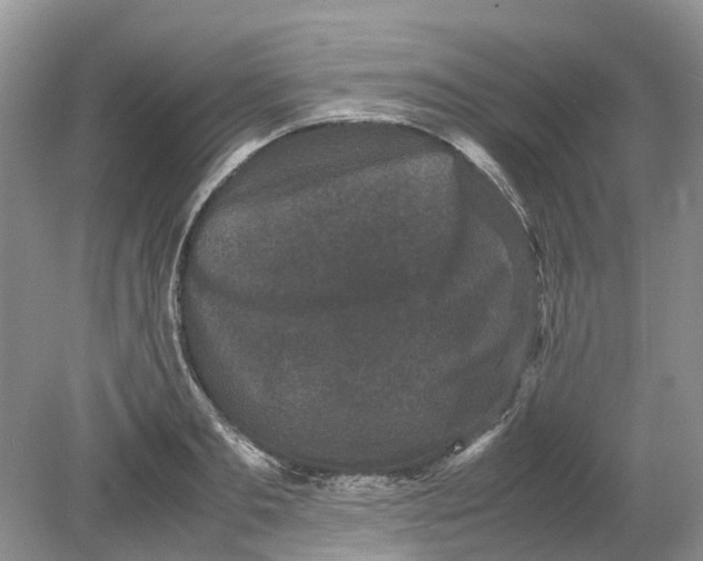 X0000078860893200612041929