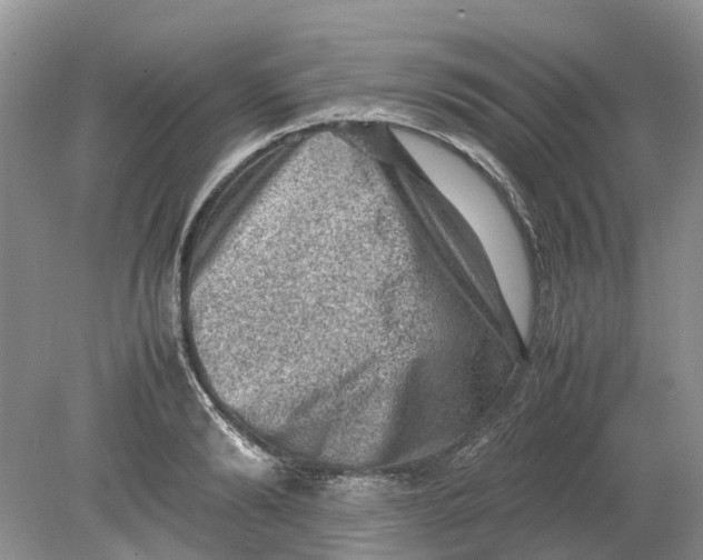 X0000078860894200612041929