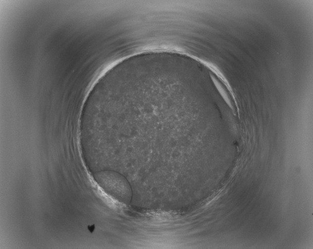 X0000078860895200612041929