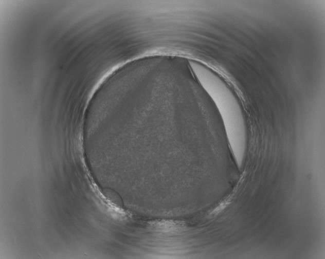 X0000078860896200612041929