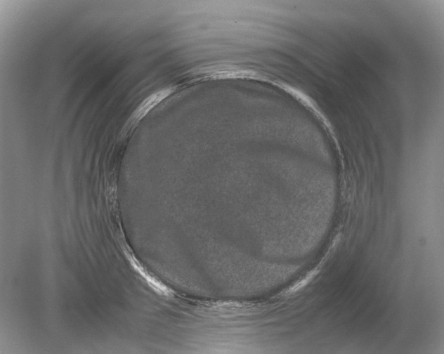 X0000078860897200612041929