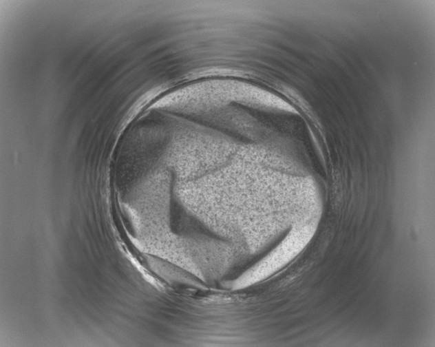 X0000078860898200612041929