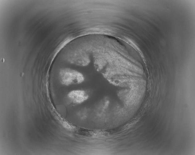 X0000078860899200612041929