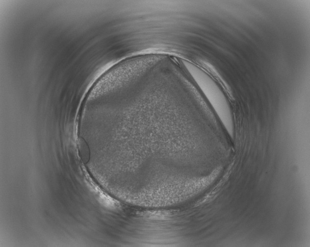 X0000078860900200612041929