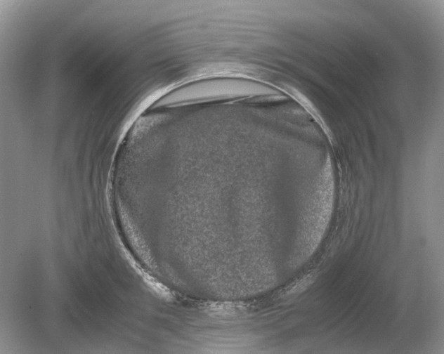 X0000078860901200612041929