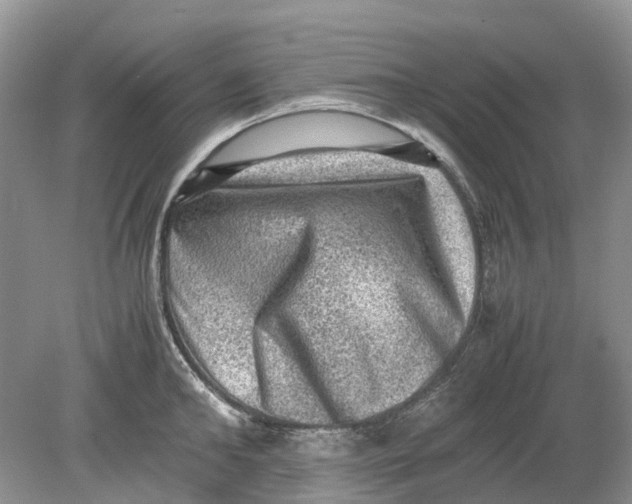 X0000078860902200612041929