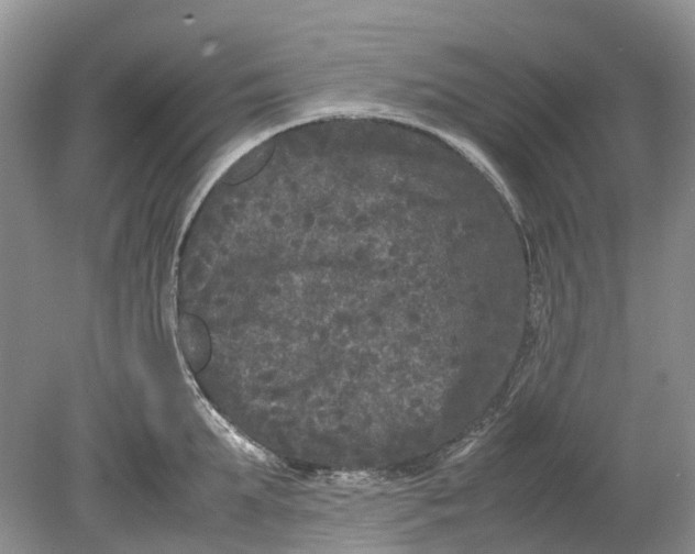 X0000078860903200612041929