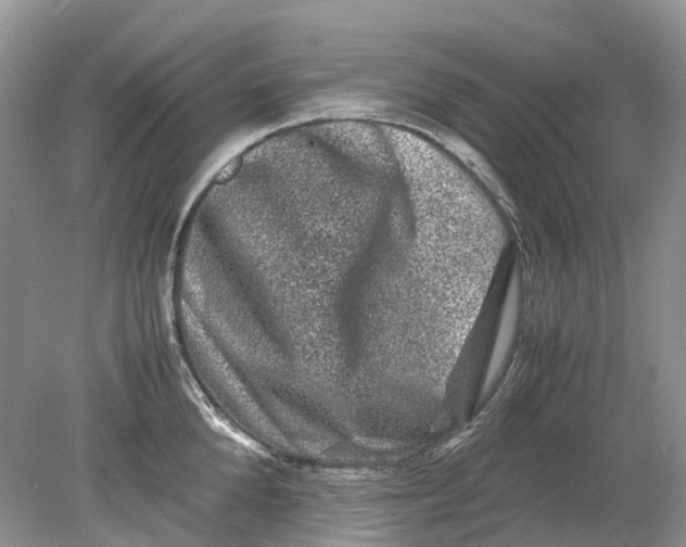 X0000078860904200612041929