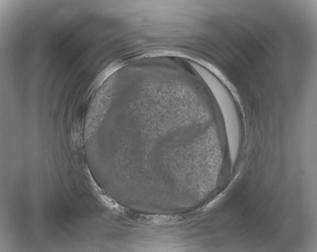 X0000078860905200612041929