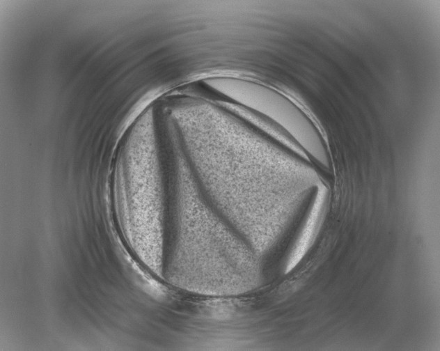 X0000078860906200612041929