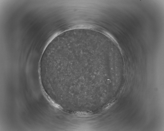 X0000078860907200612041929