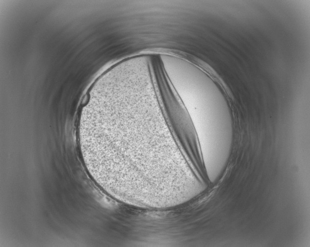 X0000078860908200612041929