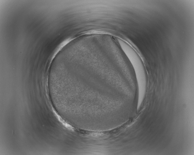 X0000078860909200612041929